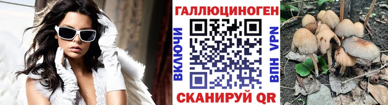 Псилоцибиновые грибы GOLDEN TEACHER  Зима 